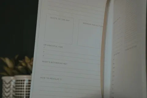 An open gratitude journal with prompts for reflection, beside a small plant